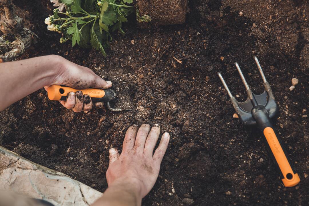 Kultywator ręczny Premium Planters Fiskars